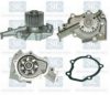 Saleri SIL PA1182 Water Pump